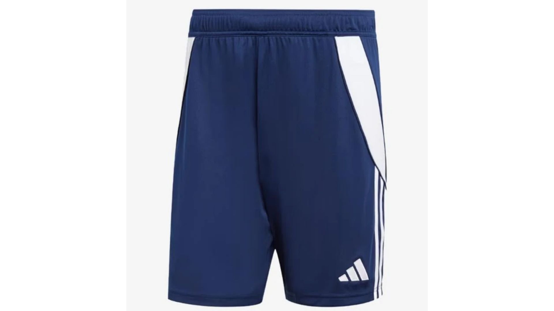 Erkek Şort Puma Mavi